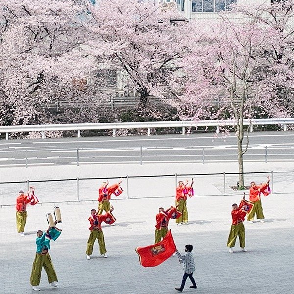 ✈️ 도코로자와 항공기념공원 이미지 9